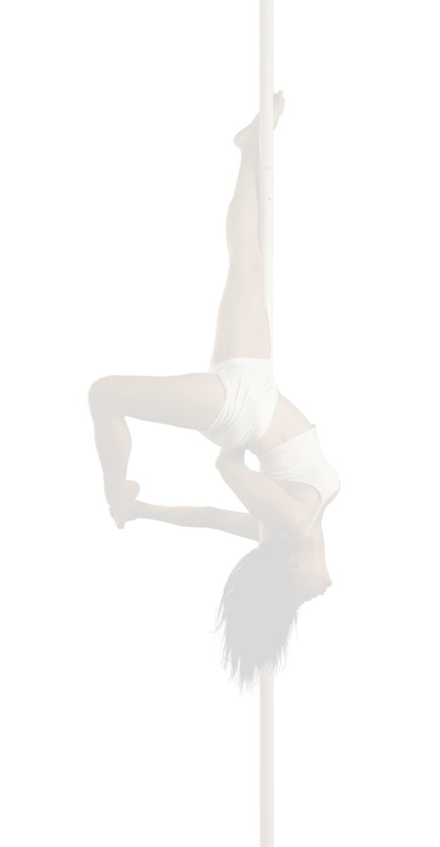 pole dance bordeaux